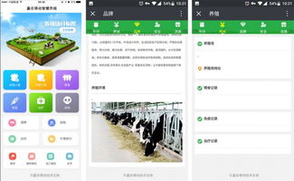 羊聯(lián)網(wǎng)溯源軟件 賦能畜牧業(yè)的智能技術革新